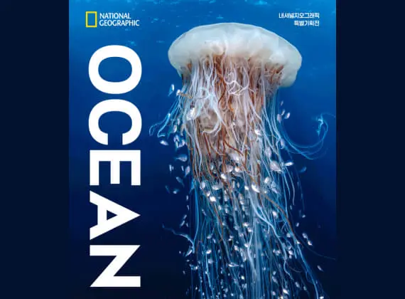 National Geographic Special Exhibition : OCEAN: The Greatest Record